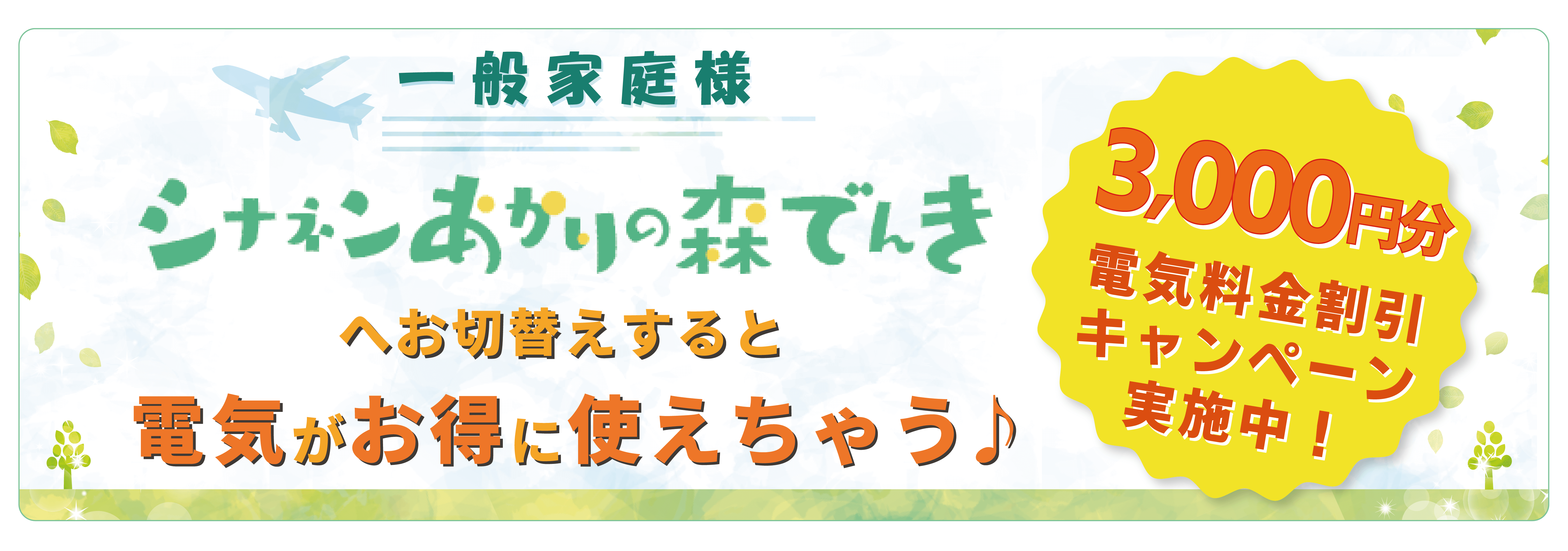 一般家庭様。シナネンあかりの森でんきへお切替えすると電気がお得に使えちゃう♪3,000円分電気料金割引キャンペーン実施中！